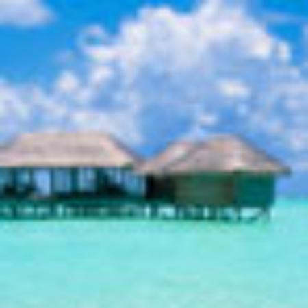 Durga Darshini Restaurant